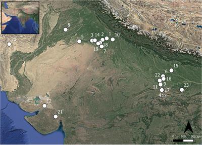 The Fits and Starts of Indian Rice Domestication: How the Movement of Rice Across Northwest India Impacted Domestication Pathways and Agricultural Stories